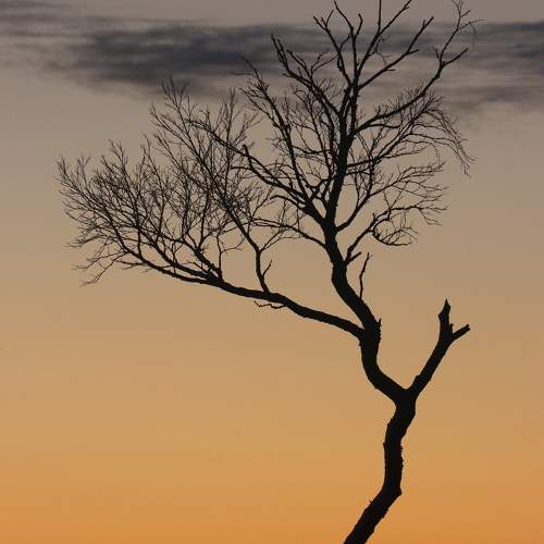 Photo #9622055