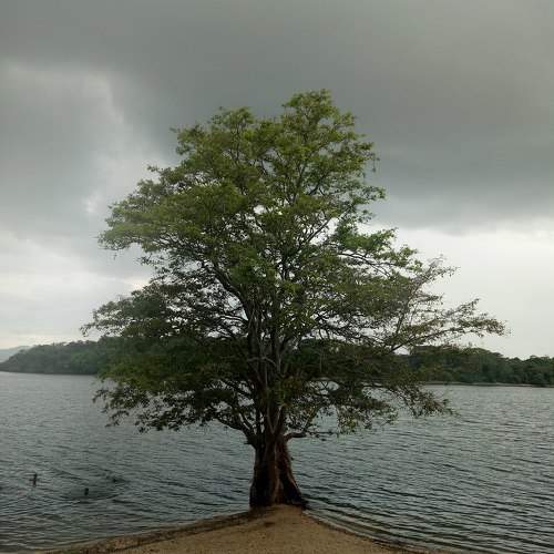 Photo #9622100