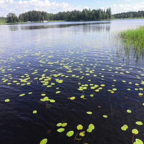 Photo #9622207