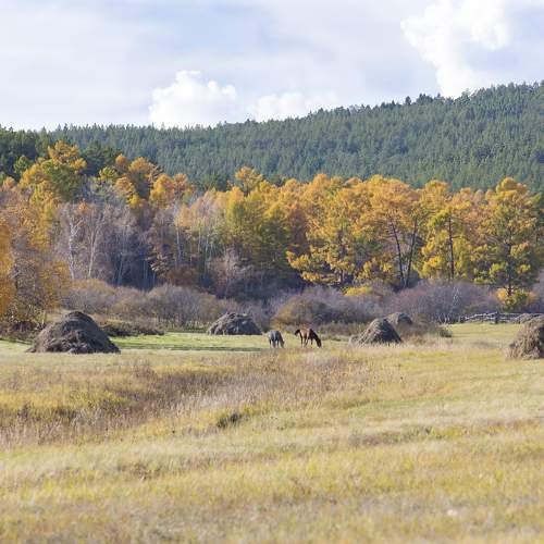 Photo #9622300
