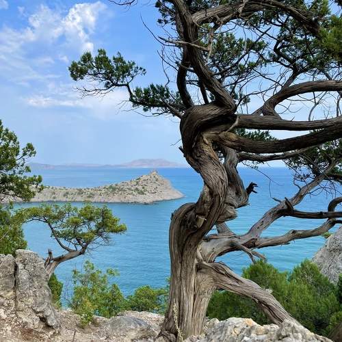 Photo #9622527
