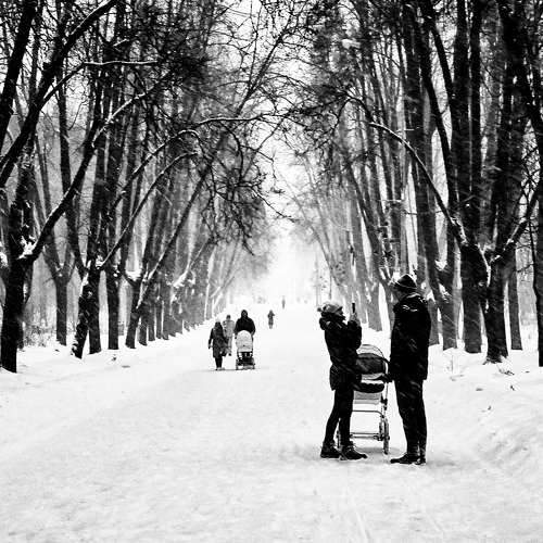 Photo #9622672