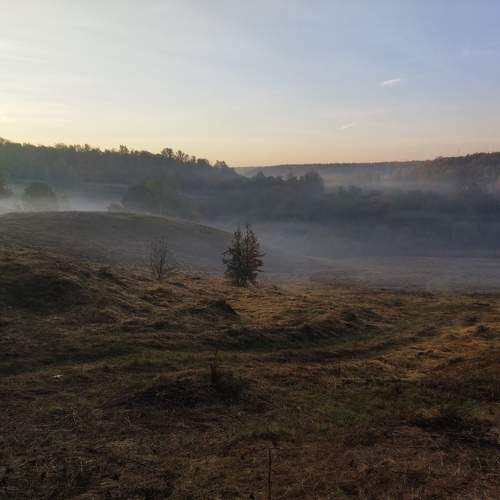 Photo #9622739