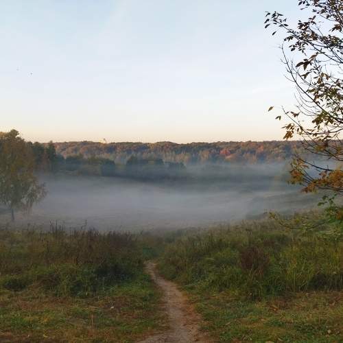 Photo #9622814