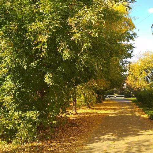 Photo #9622901