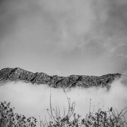 Photo #9623174