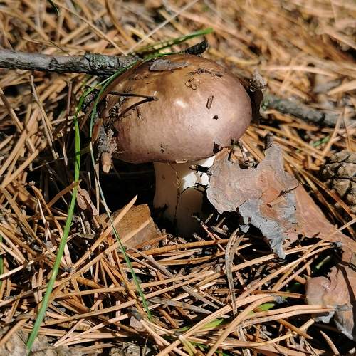 Photo #9623181