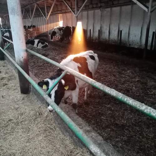 Photo #9623302