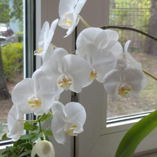Photo #9623758