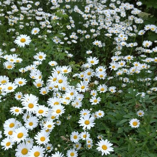 Photo #9623789