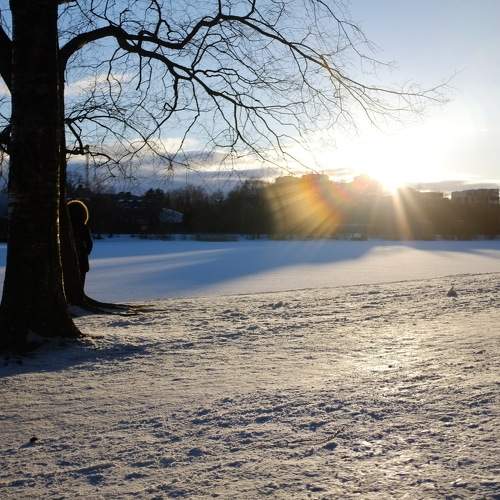 Photo #9623980