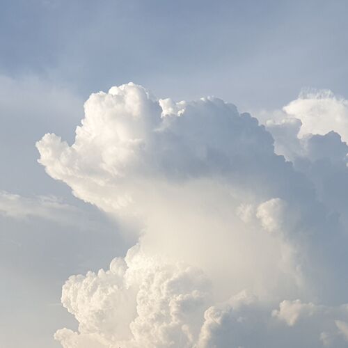 Photo #9624122