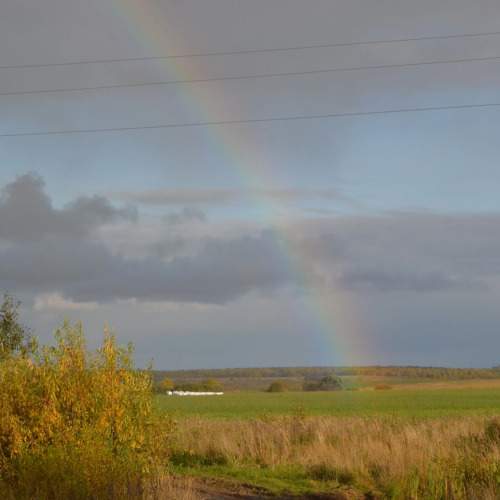 Photo #9624129