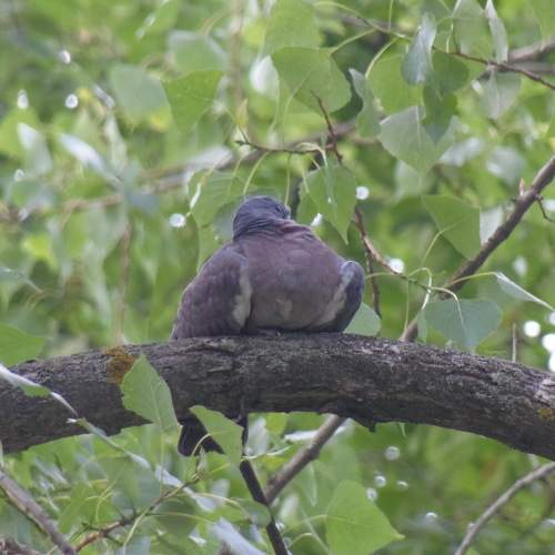Photo #9624591