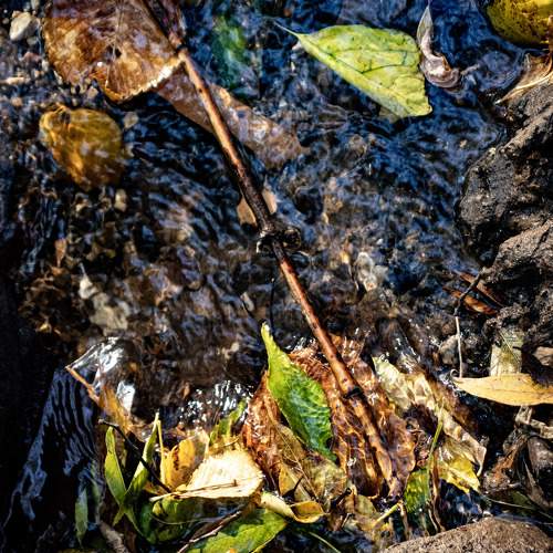 Photo #9624941