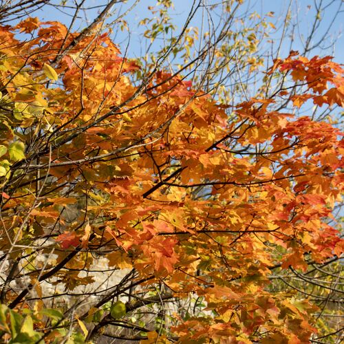 Photo #9624943