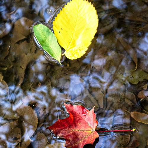 Photo #9624944