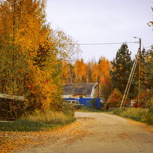 Photo #9625177