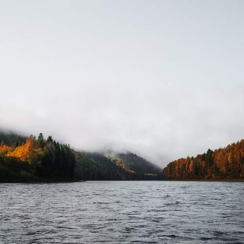 Photo #9625239