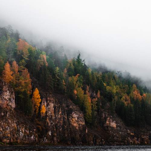 Photo #9625274