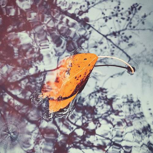 Photo #9625401