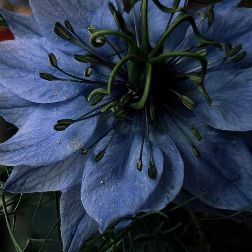Photo #9625422