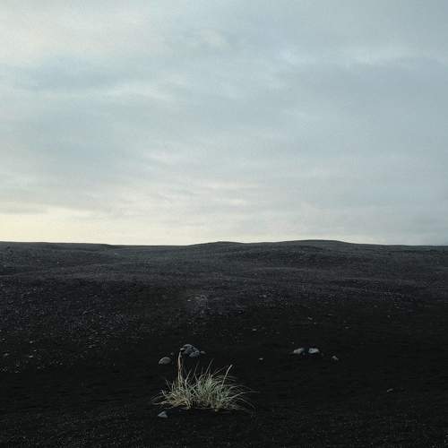 Photo #9625500