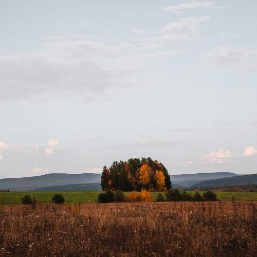 Photo #9625523