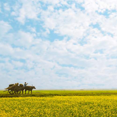 Photo #9625971