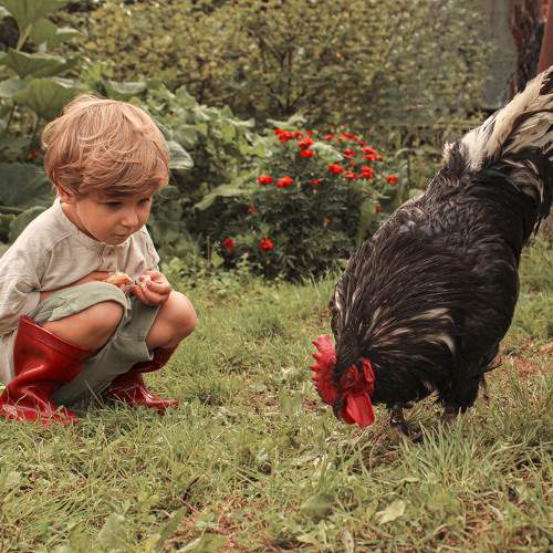 Photo #9626078