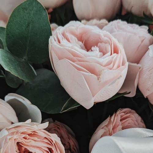 Photo #9626152
