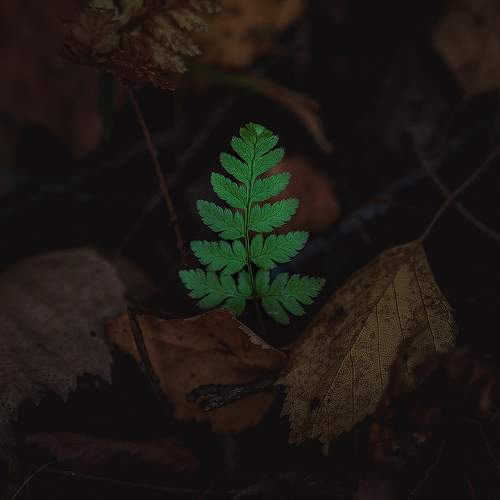 Photo #9626330
