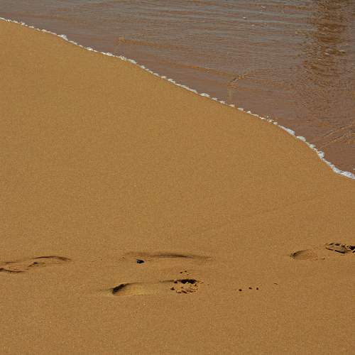 Photo #9626360