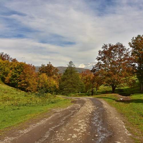 Photo #9626423
