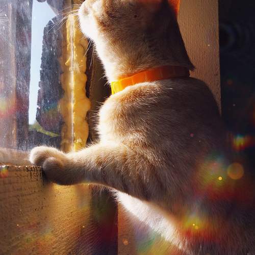 Photo #9626484