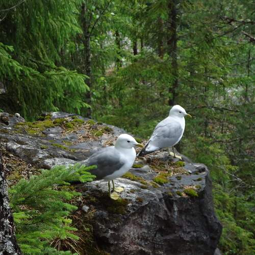 Photo #9626865