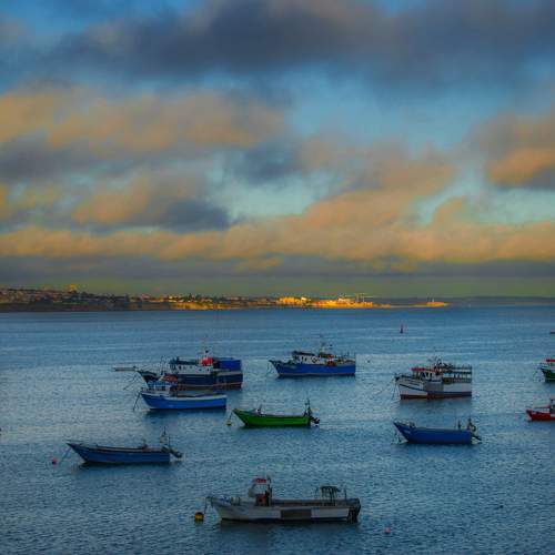 Barcas