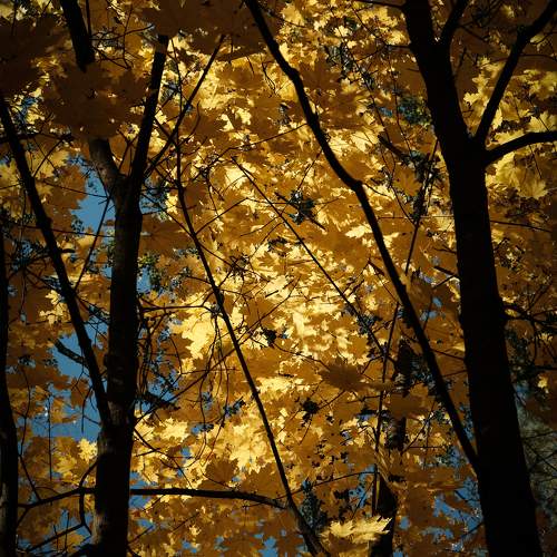 Photo #9627123