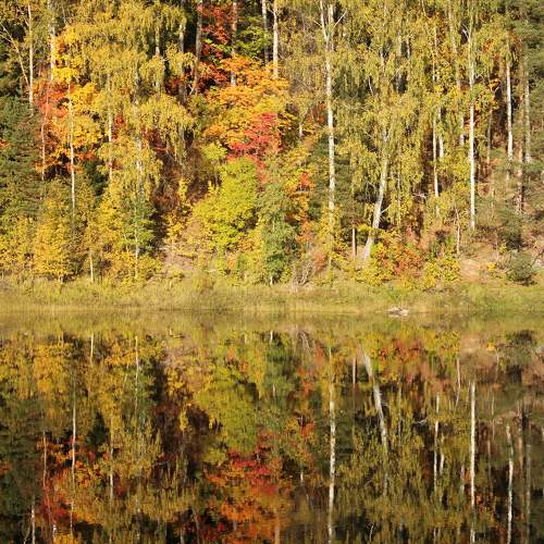Photo #9627324