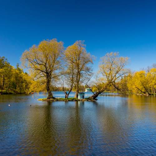 Photo #9627326