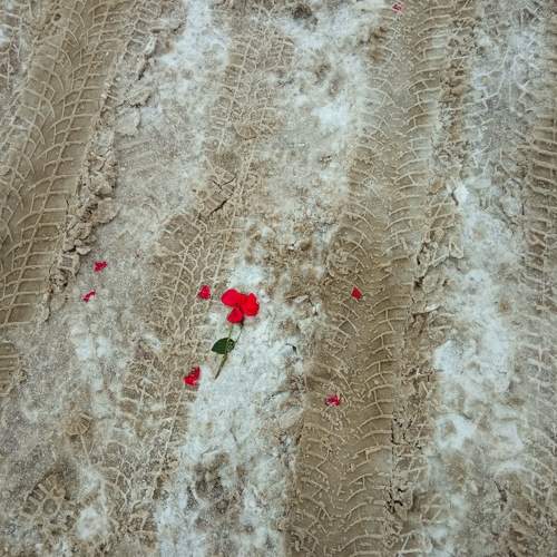 Photo #9627388