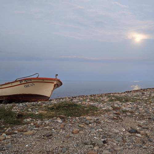 Photo #9627486