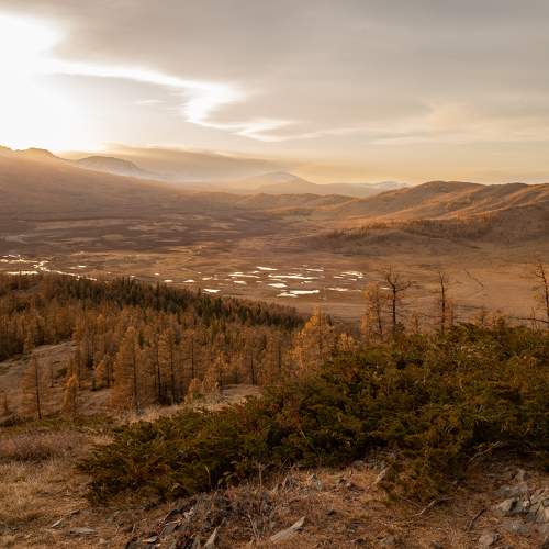 Photo #9627717