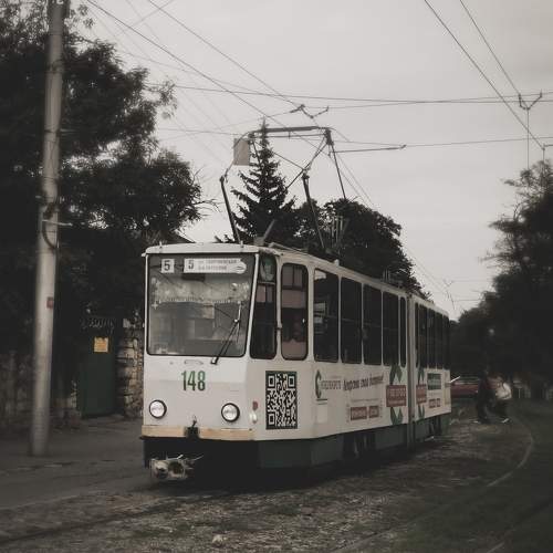 Photo #9627850