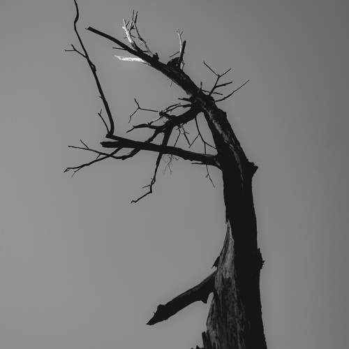 Photo #9627967