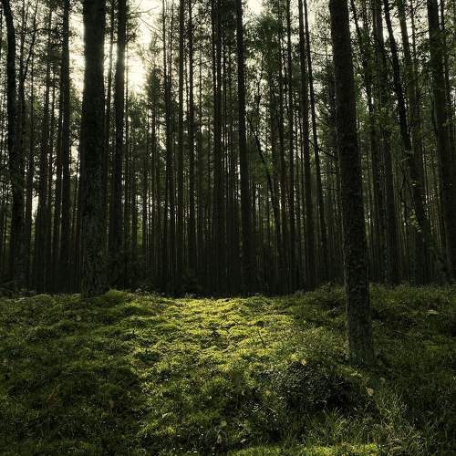 Photo #9628028