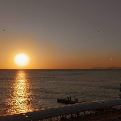 Photo #9628139
