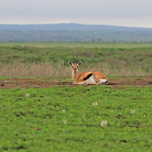 Photo #9628521