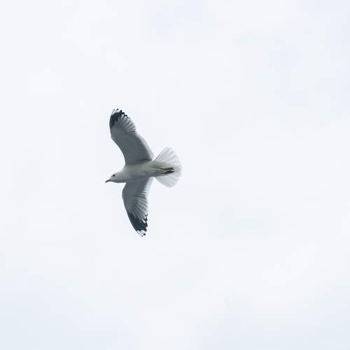 Photo #9628538