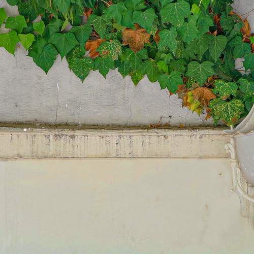 Photo #9628594